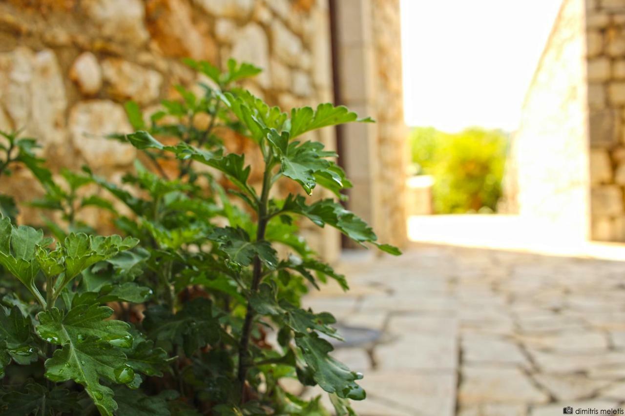 Ilakia Aparthotel Tholon Exterior photo